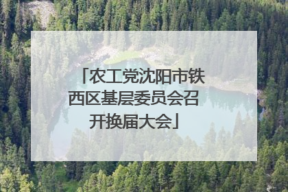 农工党沈阳市铁西区基层委员会召开换届大会