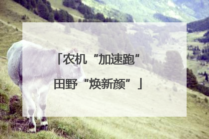 农机“加速跑” 田野“焕新颜”