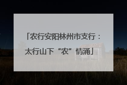 农行安阳林州市支行：太行山下“农”情涌