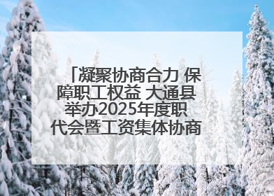 凝聚协商合力 保障职工权益 大通县举办2025年度职代会暨工资集体协商现场观摩交流活动