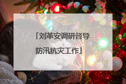 刘革安调研督导防汛抗灾工作