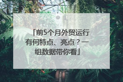 前5个月外贸运行有何特点、亮点？一组数据带你看