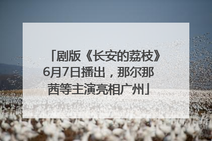 剧版《长安的荔枝》6月7日播出，那尔那茜等主演亮相广州