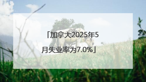 加拿大2025年5月失业率为7.0%