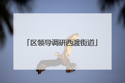 区领导调研西渡街道