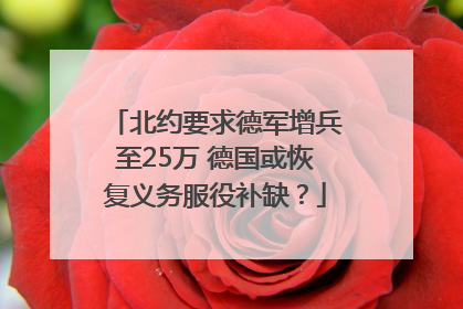 北约要求德军增兵至25万 德国或恢复义务服役补缺？
