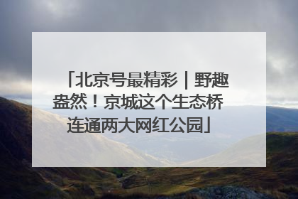 北京号最精彩｜野趣盎然！京城这个生态桥连通两大网红公园