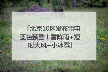 北京10区发布雷电蓝色预警！雷阵雨+短时大风+小冰雹