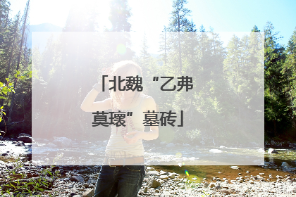 北魏“乙弗莫瓌”墓砖