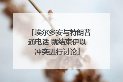 埃尔多安与特朗普通电话 就结束伊以冲突进行讨论