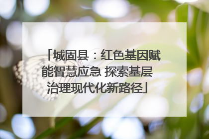 城固县：红色基因赋能智慧应急 探索基层治理现代化新路径