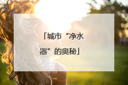 城市“净水器”的奥秘