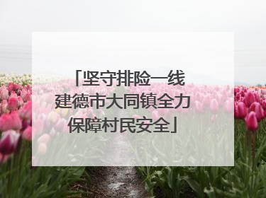 坚守排险一线 建德市大同镇全力保障村民安全