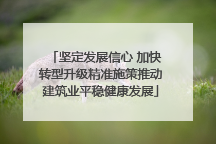 坚定发展信心 加快转型升级精准施策推动建筑业平稳健康发展