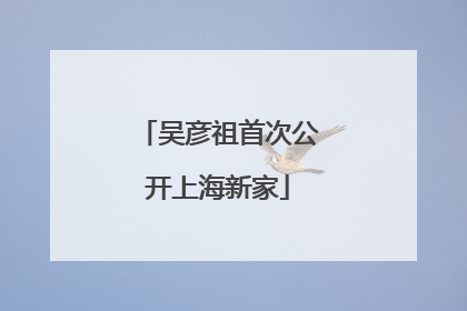 吴彦祖首次公开上海新家