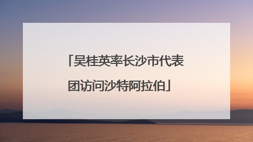 吴桂英率长沙市代表团访问沙特阿拉伯