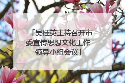 吴桂英主持召开市委宣传思想文化工作领导小组会议