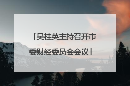 吴桂英主持召开市委财经委员会会议