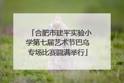 合肥市建平实验小学第七届艺术节巴乌专场比赛圆满举行