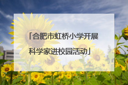 合肥市虹桥小学开展科学家进校园活动