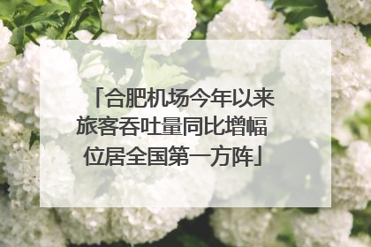 合肥机场今年以来旅客吞吐量同比增幅位居全国第一方阵