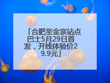 合肥至金寨站点巴士5月29日首发，开线体验价29.9元