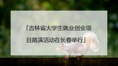 吉林省大学生就业创业项目路演活动在长春举行
