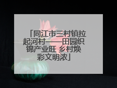 同江市三村镇拉起河村——田园织锦产业旺 乡村焕彩文明浓