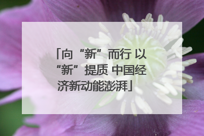 向“新”而行 以“新”提质 中国经济新动能澎湃