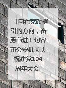 向着党旗指引的方向，奋勇前进！句容市公安机关庆祝建党104周年大会