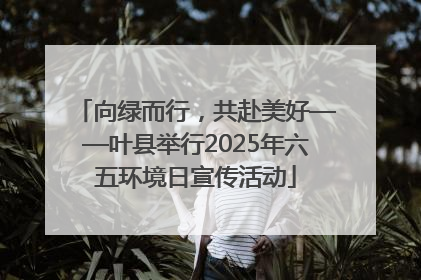 向绿而行，共赴美好——叶县举行2025年六五环境日宣传活动
