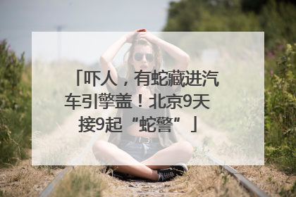 吓人，有蛇藏进汽车引擎盖！北京9天接9起“蛇警”