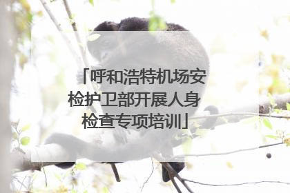 呼和浩特机场安检护卫部开展人身检查专项培训