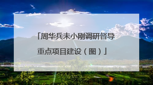 周华兵未小刚调研督导重点项目建设（图）