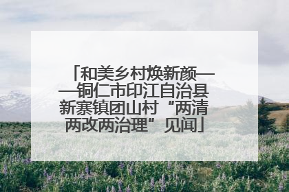 和美乡村焕新颜——铜仁市印江自治县新寨镇团山村“两清两改两治理”见闻