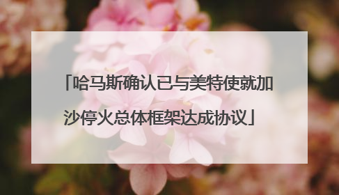哈马斯确认已与美特使就加沙停火总体框架达成协议