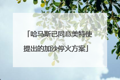 哈马斯已同意美特使提出的加沙停火方案