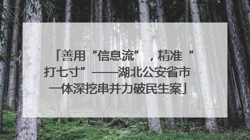 善用“信息流”，精准“打七寸”——湖北公安省市一体深挖串并力破民生案