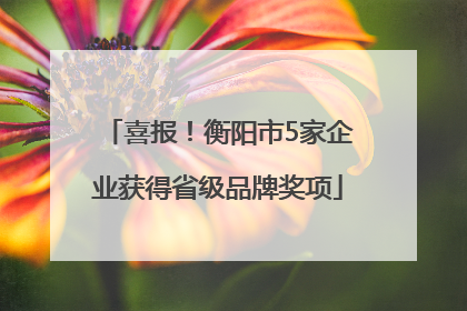 喜报！衡阳市5家企业获得省级品牌奖项