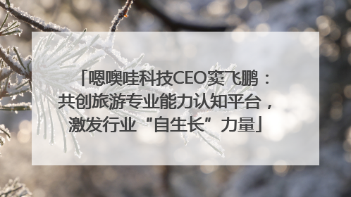 嗯噢哇科技CEO窦飞鹏：共创旅游专业能力认知平台，激发行业“自生长”力量