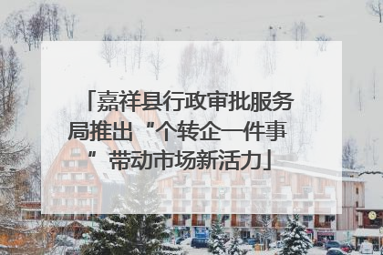 嘉祥县行政审批服务局推出“个转企一件事”带动市场新活力