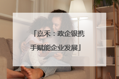 嘉禾：政企银携手赋能企业发展