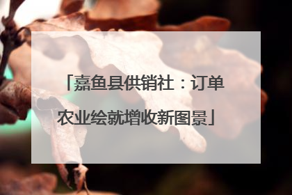 嘉鱼县供销社：订单农业绘就增收新图景