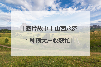 图片故事丨山西永济：种粮大户收获忙