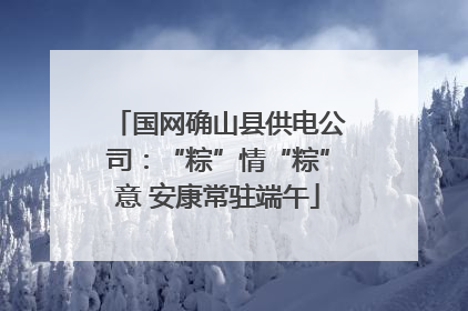 国网确山县供电公司：“粽”情“粽”意 安康常驻端午