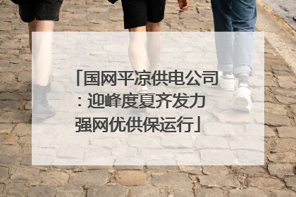 国网平凉供电公司：迎峰度夏齐发力 强网优供保运行