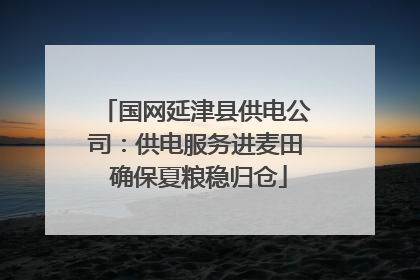 国网延津县供电公司：供电服务进麦田 确保夏粮稳归仓