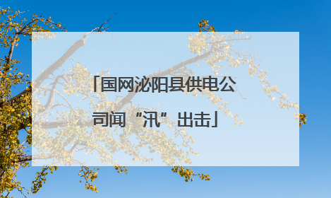 国网泌阳县供电公司闻“汛”出击