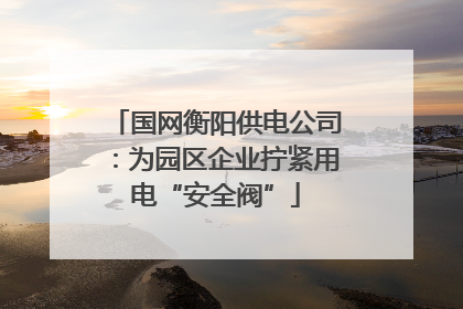 国网衡阳供电公司：为园区企业拧紧用电“安全阀”