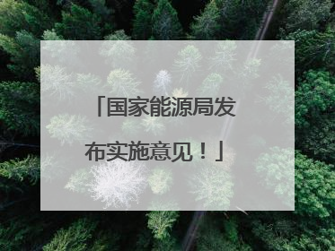 国家能源局发布实施意见！